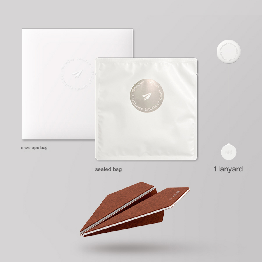 Brown paper airplane, white envelope bag, sealed bag, and lanyard on a gray background