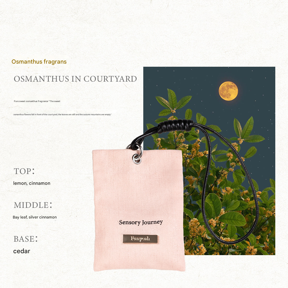 Sensory Journey product with a pink tag and black strap against a background of green foliage and a moonlit sky.