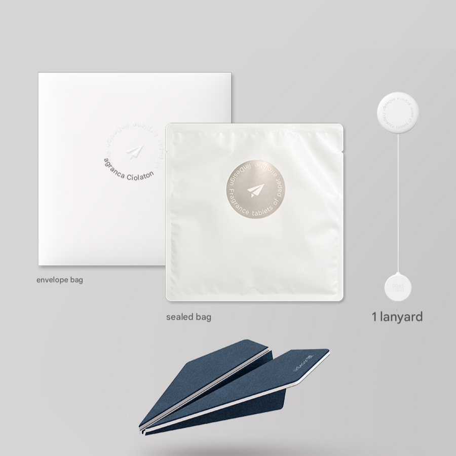 Set of items including an envelope bag, sealed bag, and lanyard on a gray background.