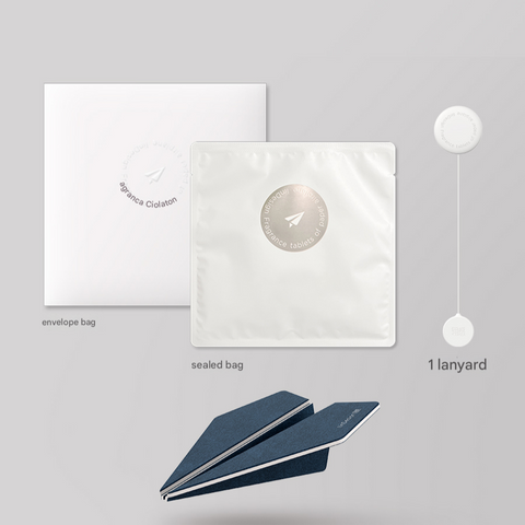 Set of items including an envelope bag, sealed bag, and lanyard on a gray background.