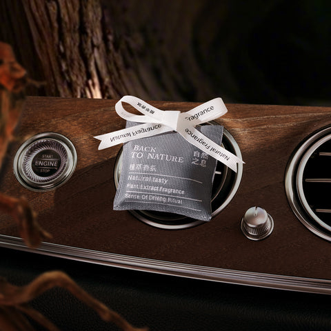 Car air freshener labeled 'Back to Nature' on a car dashboard with a blurred background