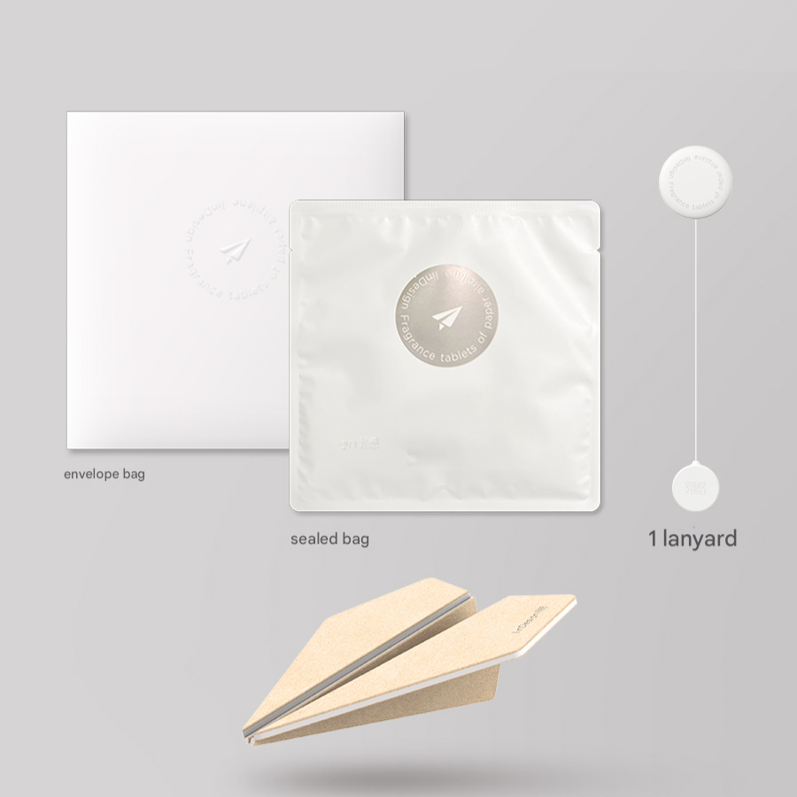 Set of envelope bag, sealed bag, and lanyard on a gray background