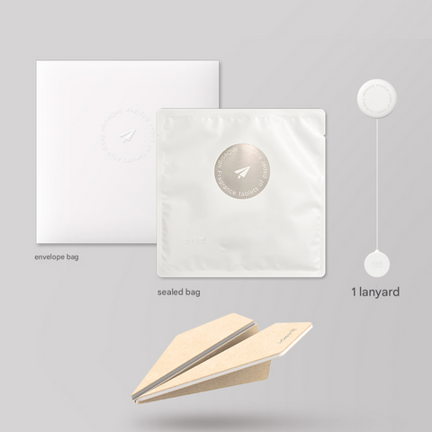 Set of envelope bag, sealed bag, and lanyard on a gray background