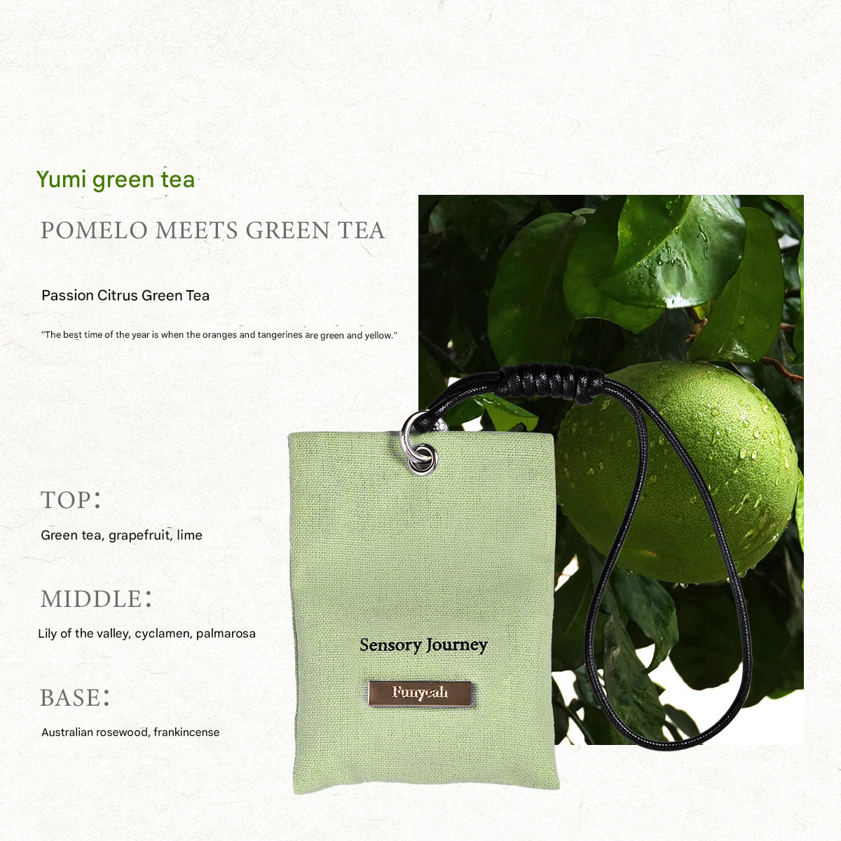 Yumi green tea packaging with pomelo fruit and sensory journey description on a white background